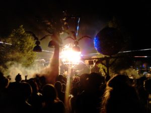 Fusion Tanzwiese 2016